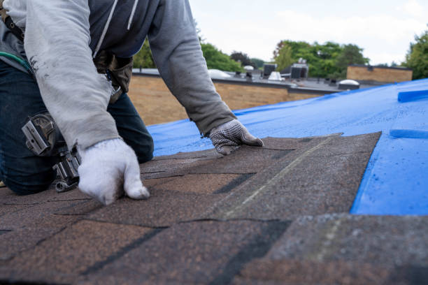Best Roof Coating and Sealing  in Columbia Heights, MN